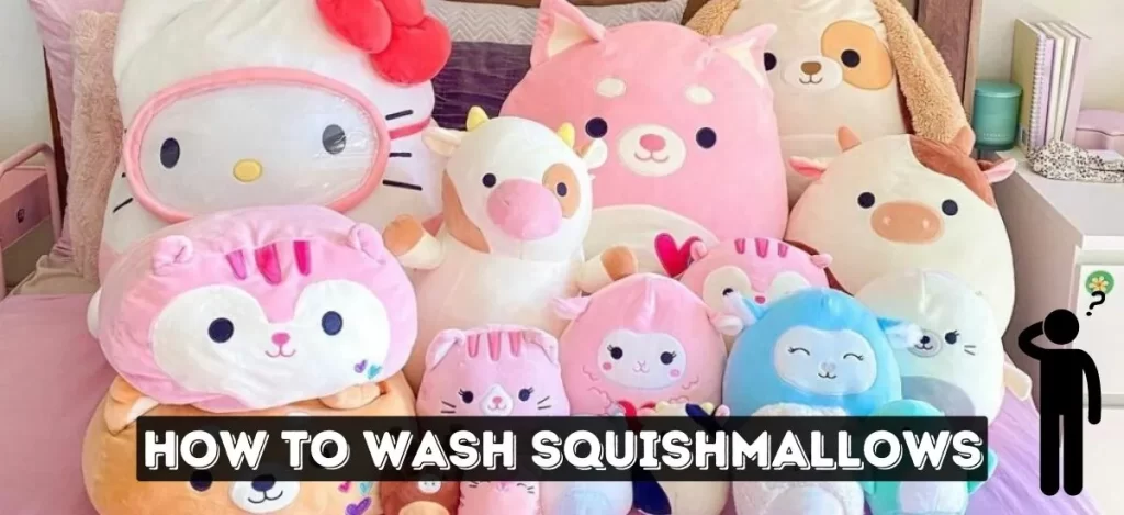How To Wash Squishmallows